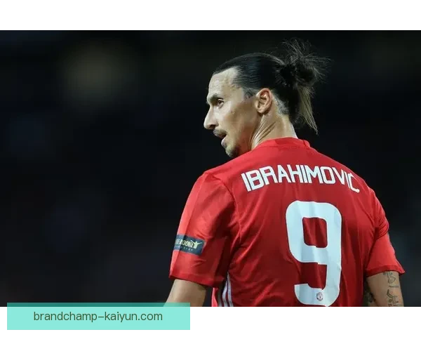 伊布技术全面性引发关注，状态持续提升表现稳健