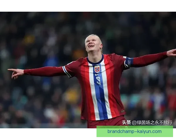 哈兰德领衔挪威队征战欧洲杯预选赛表现稳健